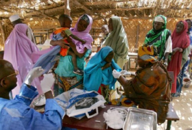Meningitis epidemic kills over 60 in Niger